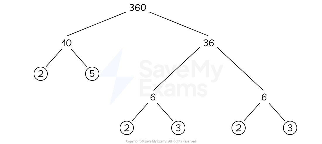 Factor tree diagram for 360: splits into 10 and 36; 10 into 2 and 5; 36 into two 6s; each 6 into 2 and 3.