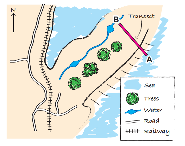 Map depicting a coastal area with a sea, labelled transect line from A to B, trees, a waterway, roads, and a railway line with a north arrow.