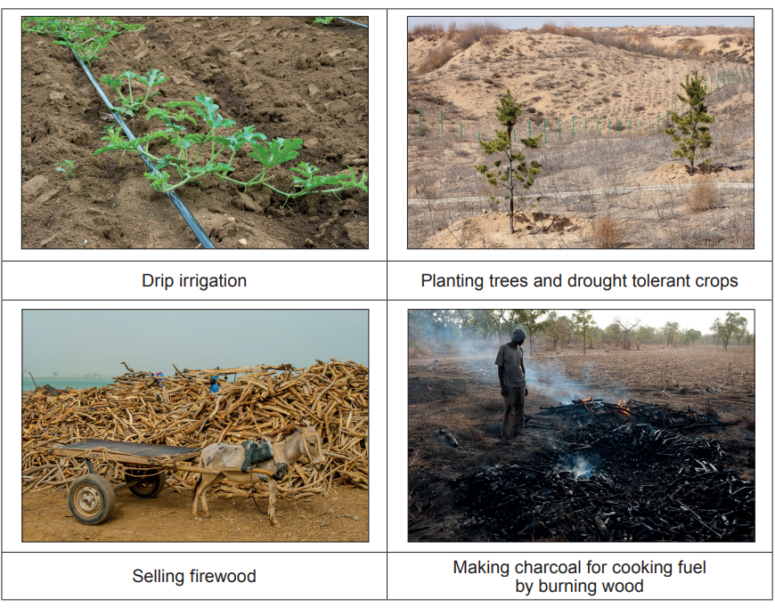 Four images showing water-efficient farming, tree planting, firewood sale with a donkey cart, and charcoal production by burning wood.