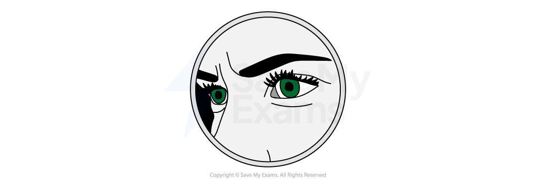 Image symbolising Jealousy: Illustration of a pair of eyes within a circle, featuring bold black eyebrows and green irises, set against a plain background.