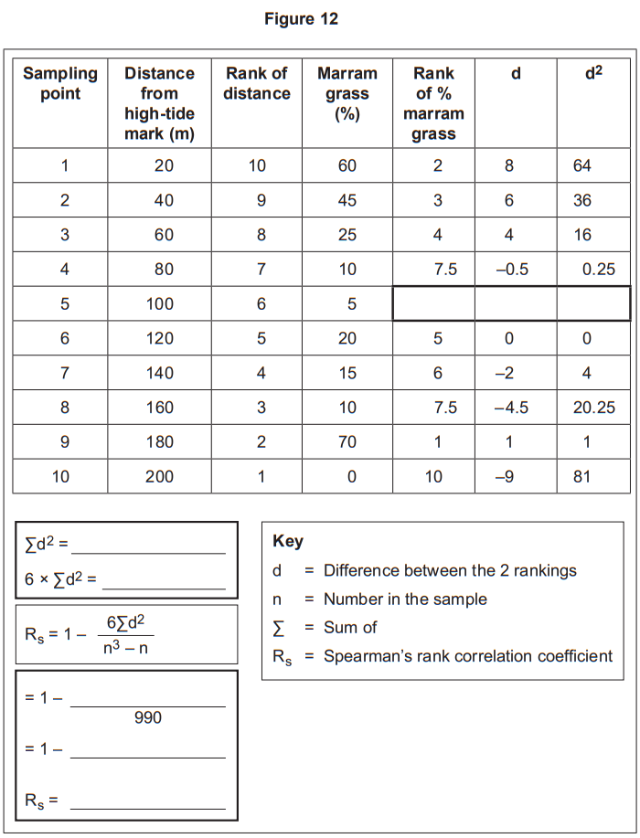 Table of sampling points with distance, rank of distance, marram grass percentage, rank, and calculations related to Spearman's rank correlation.