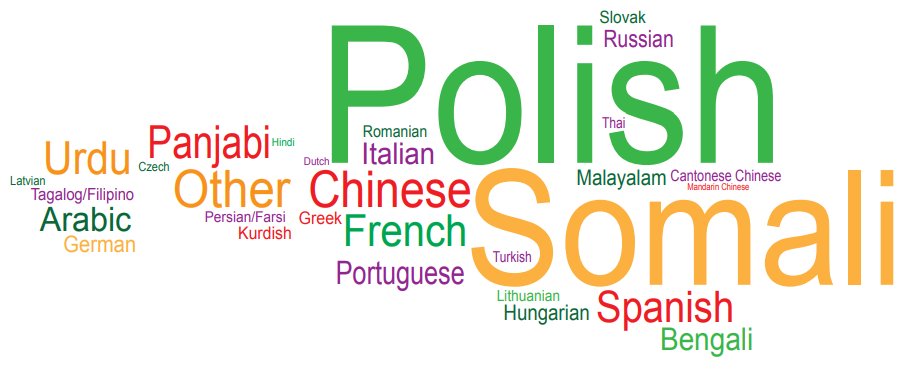 Word cloud showcasing various languages, with "Polish" and "Somali" in largest font. Other languages include Chinese, Spanish, Urdu, Panjabi, and Arabic.