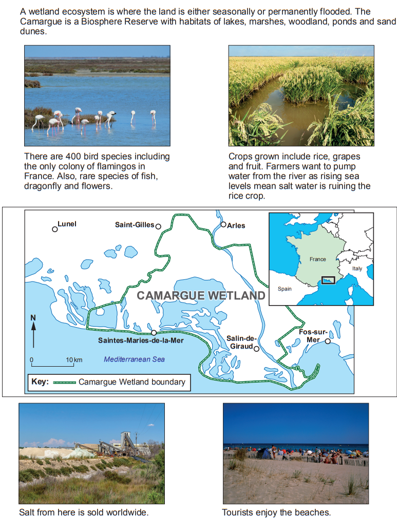 Diagram of the Camargue Wetland in France showing flamingos, rice fields, and a map indicating its location with adjacent images of salt production and beaches.