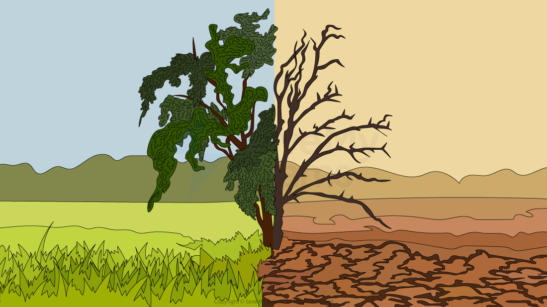 Split image of a tree: left side healthy with a green field; right side barren with cracked earth, symbolising environmental contrast.