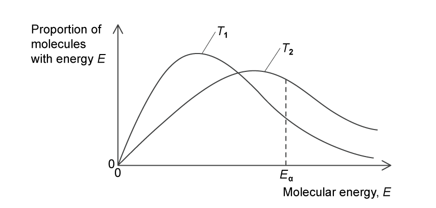 Graph showing distribution of molecular energy. Two curves marked T1 and T2 with a vertical line at Ea. X-axis: molecular energy E, Y-axis: proportion of molecules.