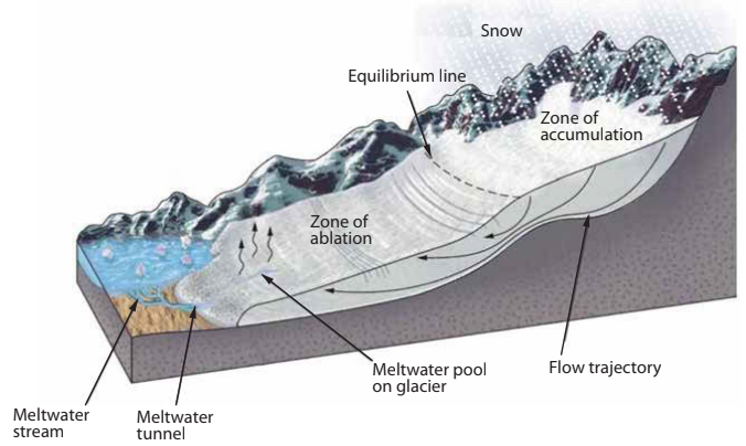 Diagram of a glacier illustrating zones of accumulation and ablation, equilibrium line, meltwater pool, stream, tunnel, and flow trajectory arrows.