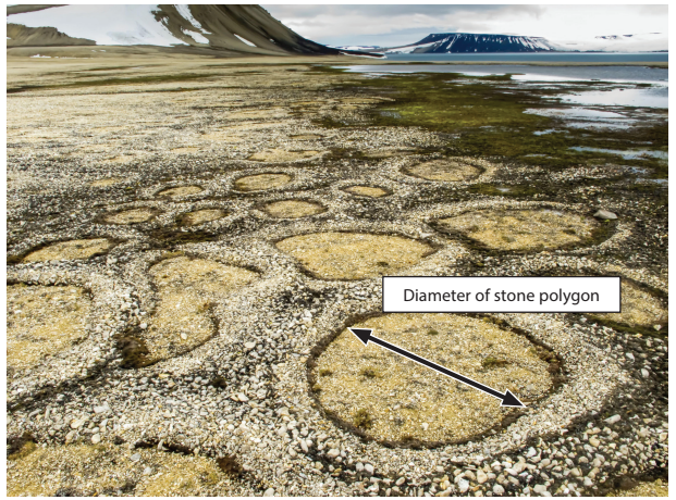 A landscape featuring stone polygon formations on the ground, with moss and water visible, surrounded by mountains and cloudy sky in the background.