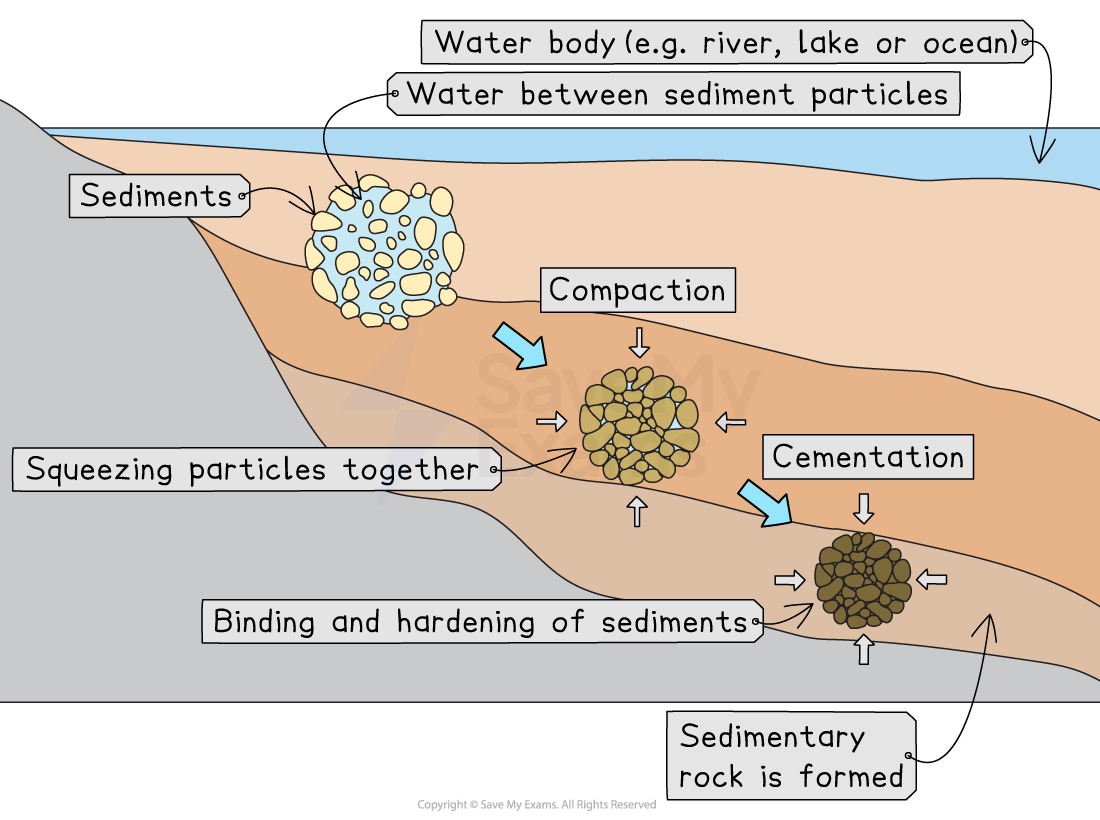 Diagram illustrating sedimentary rock formation through deposition, compaction, and cementation of sediments in a water body like a river or lake.