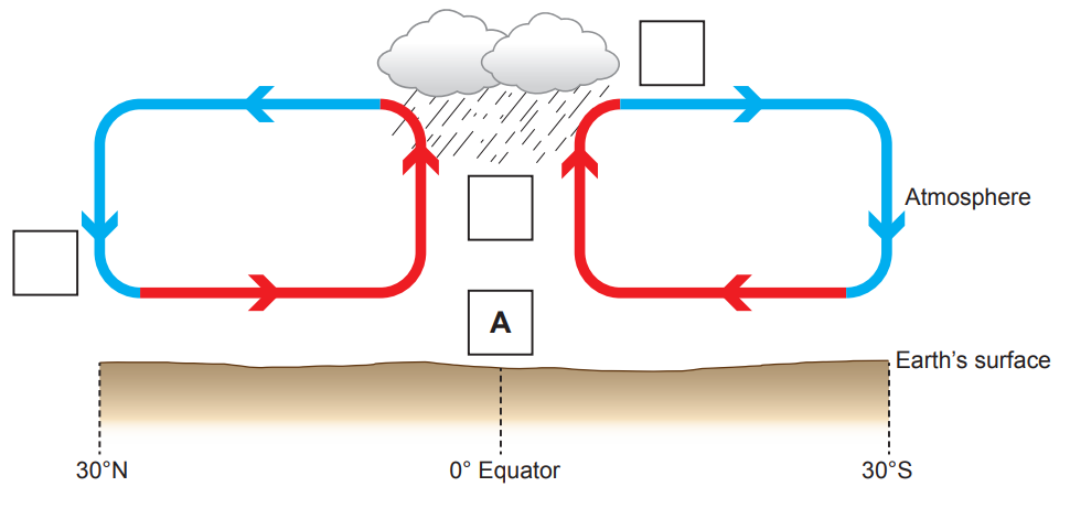 Diagram showing atmospheric circulation with two convection cells, rain clouds at the equator, and Earth's surface marked from 30°N to 30°S latitude.