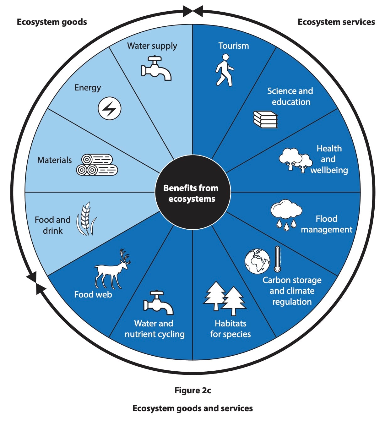 Diagram illustrating ecosystem benefits, split into goods and services, including water supply, tourism, food, habitats, climate regulation, and health.