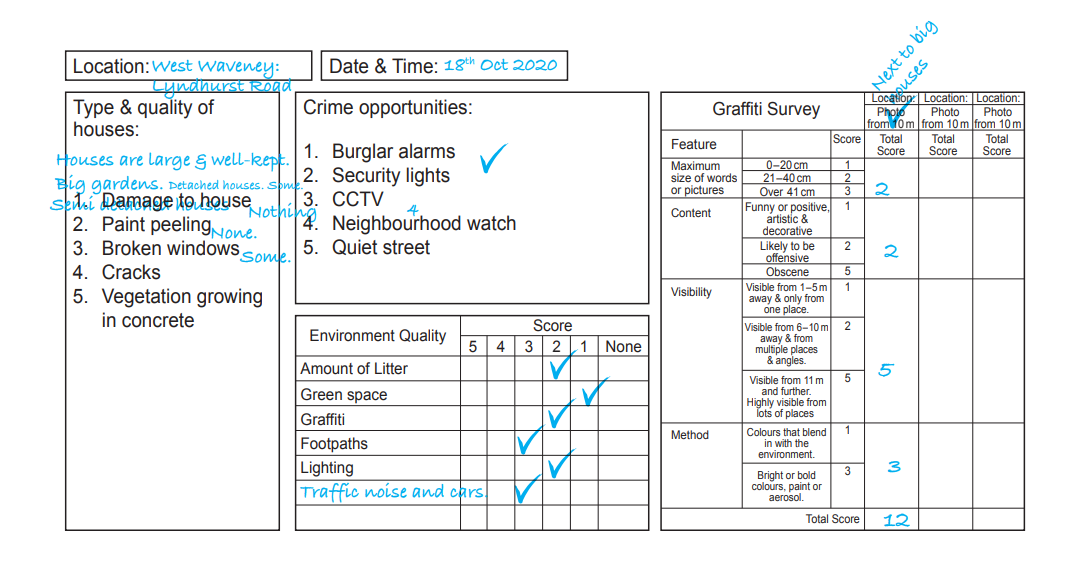 Survey report with three sections detailing house types, crime opportunities with ticks, environment quality ratings, and a graffiti survey scoring.