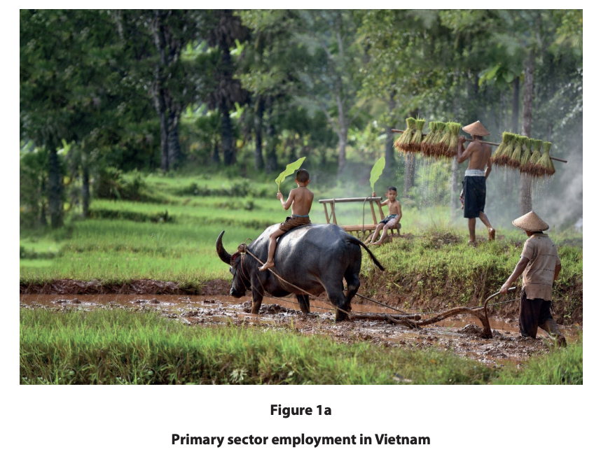 Farmers work in a Vietnamese paddy field; one guides a water buffalo for ploughing, another carries seedlings, and children watch nearby.