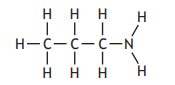 Structural formula of ethylamine molecule: two carbon atoms bonded to five hydrogens and one nitrogen atom bonded to two hydrogens.