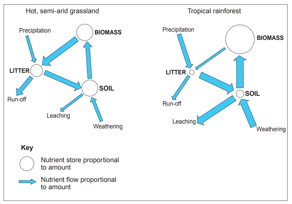 Diagram comparing nutrient cycles in hot, semi-arid grasslands and tropical rainforests, showing biomass, litter, soil, and nutrient flows with arrows.