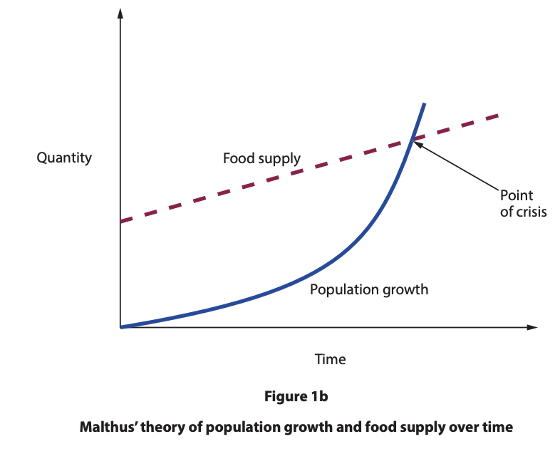 Line graph showing Malthus' theory: population growth curve surpasses a constant food supply line, indicating a crisis point where demand exceeds supply.