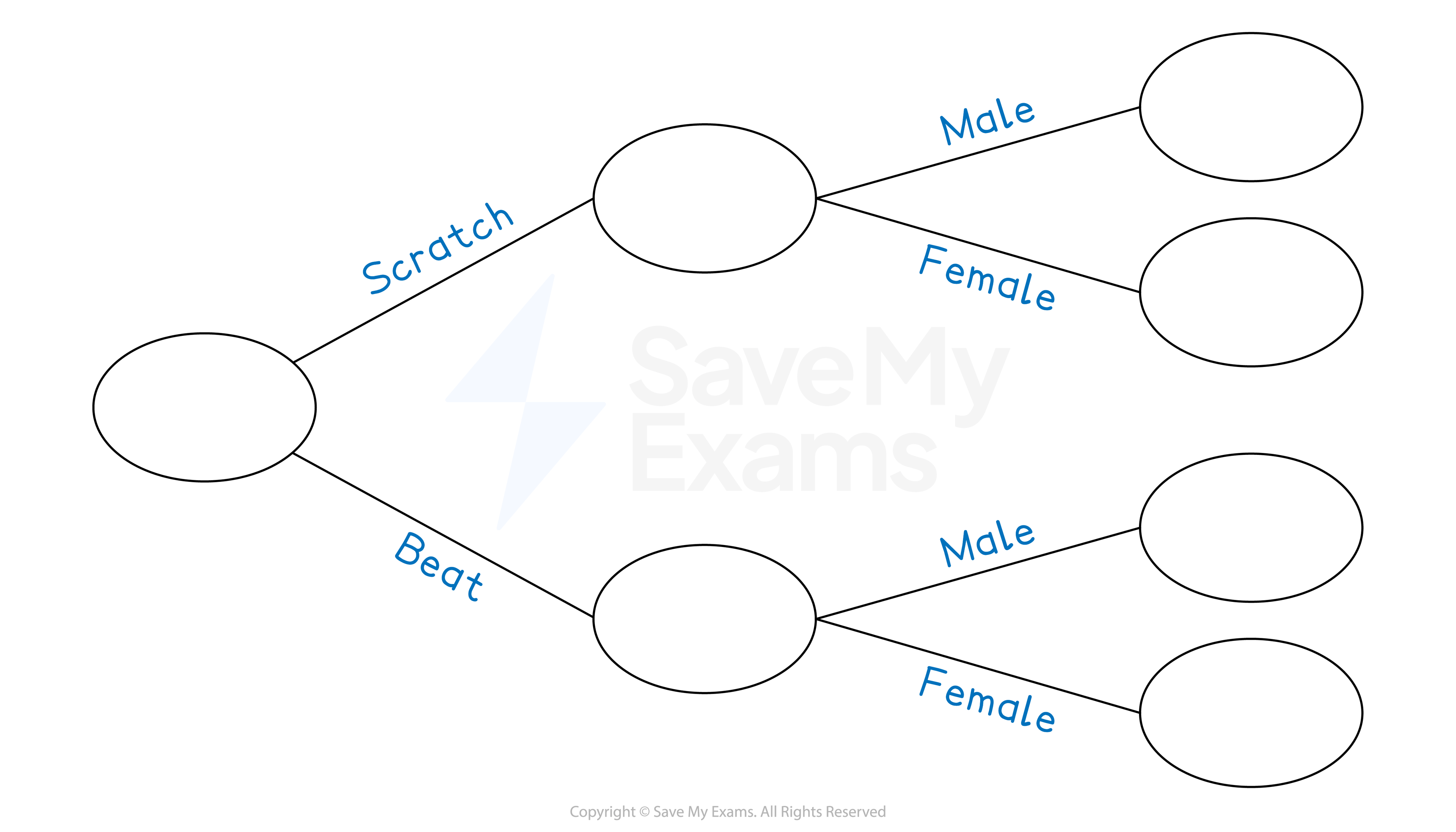 5-2-4-frequency-tree-we-question