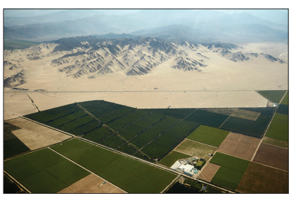 Aerial view of patchwork farmland with green and brown fields, bordered by a vast desert landscape and distant mountain range under a clear sky.