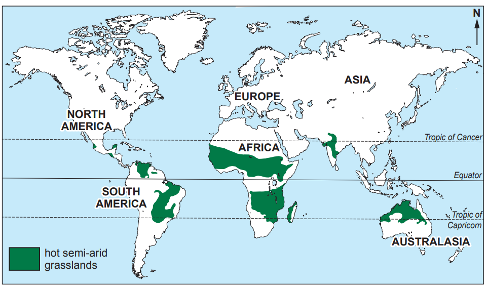 World map showing regions of hot semi-arid grasslands in green across parts of five continents, with geographical labels and latitude lines.