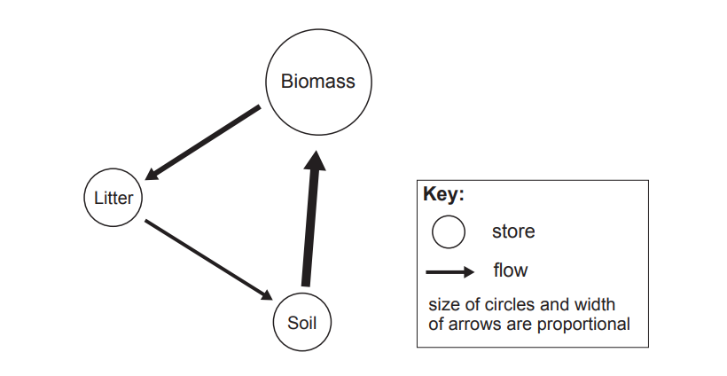 Diagram showing nutrient flows between Biomass, Litter, and Soil. Arrows indicate flow direction; sizes of circles and arrows are proportional to flow.