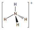 Diagram of an ammonium ion illustrating nitrogen bonded to four hydrogen atoms with dashed, solid, and wedged lines, enclosed in brackets with a positive sign.