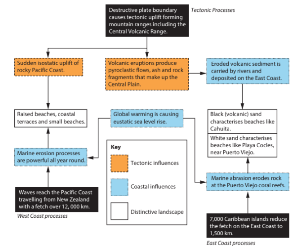 Flowchart explaining tectonic and coastal processes on the Pacific and East Coasts. Key labels orange for tectonic, blue for coastal, and dashed for distinctive landscape.
