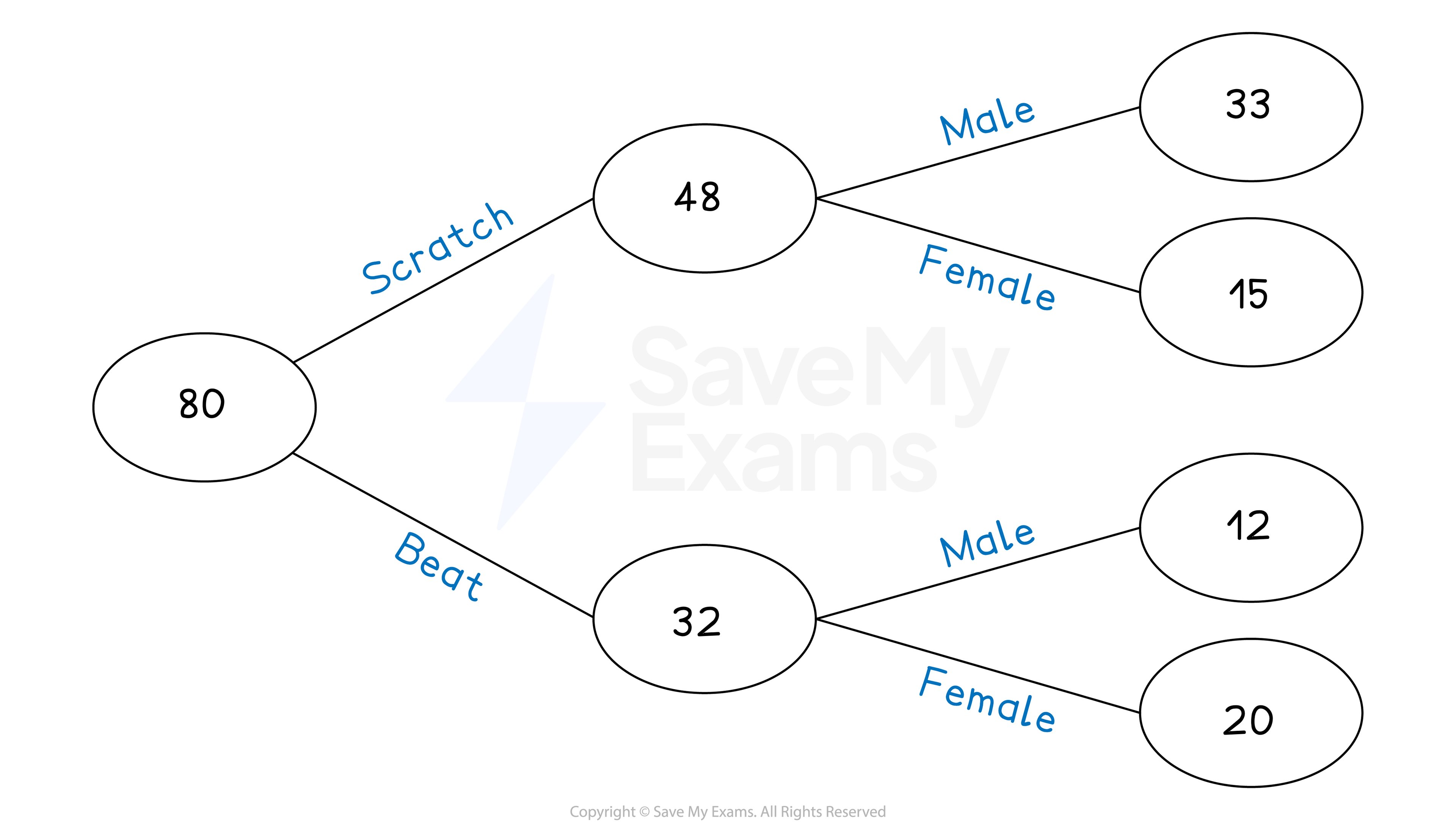 Flowchart showing 80 split into Scratch (48) and Beat (32). Scratch divides into Male (33) and Female (15). Beat divides into Male (12) and Female (20).
