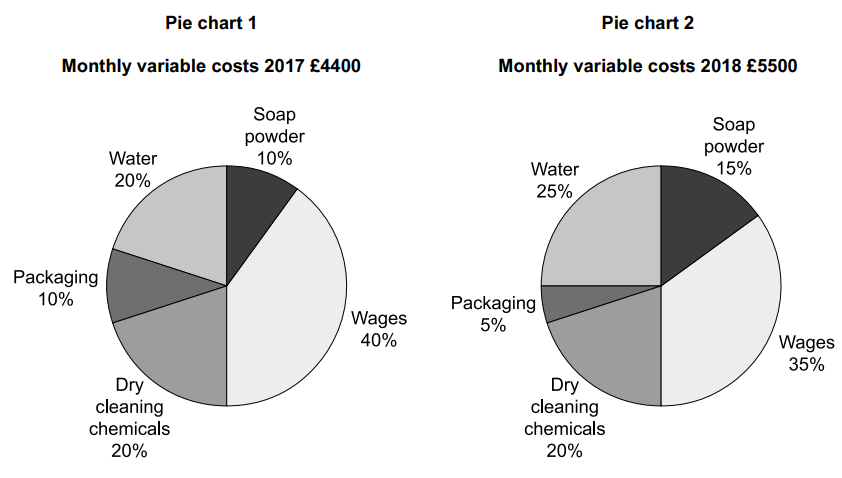 Two pie charts comparing monthly variable costs in 2017 and 2018. Categories: wages, water, dry cleaning chemicals, packaging, soap powder.