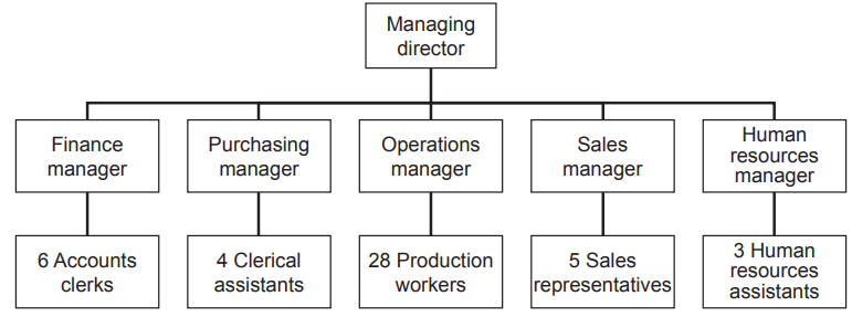 Organisational chart showing a managing director overseeing managers in finance, purchasing, operations, sales, and human resources with their respective staff.