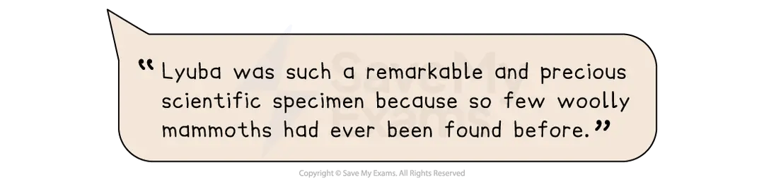 Speech bubble with text: "Lyuba was a remarkable scientific specimen as few woolly mammoths had been found before." Includes copyright notice.