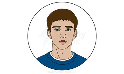 The Curious Incident of the Dog in the Night-time: Christopher Boone Character