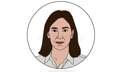 The Curious Incident of the Dog in the Night-time: Siobhan Character
