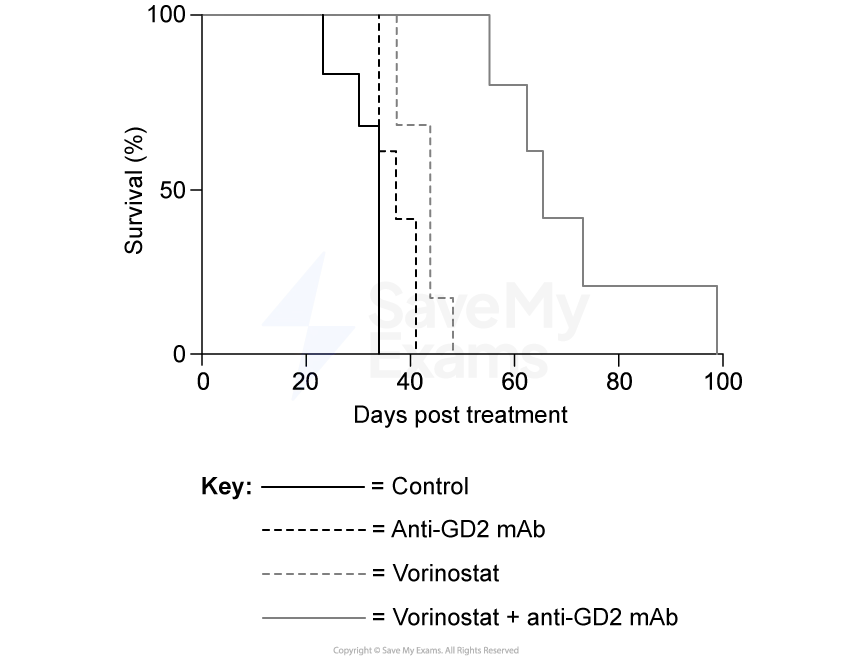 Survival graph shows four lines comparing treatments: control, anti-GD2 mAb, Vorinostat, and Vorinostat with anti-GD2 mAb over 100 days.