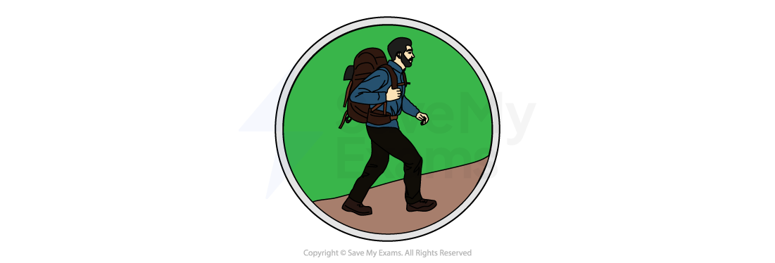 Independence theme in The Curious Incident of the Dog in the Night-time.