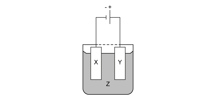 Simple diagram of an electrochemical cell with two electrodes, labelled X and Y, immersed in solution Z, connected to a battery with positive and negative terminals.