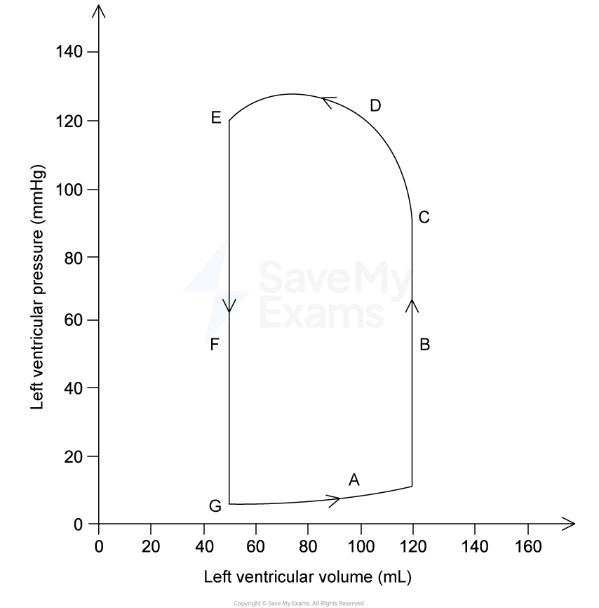 Graph of left ventricular pressure vs volume, showing a loop with phases A to G, illustrating pressure-volume changes during the cardiac cycle.