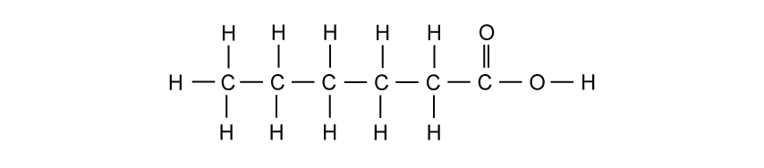 Displayed structural formula of a six-carbon chain. From left to right: carbon 1 has three hydrogens and a single C–C bond. Carbons 2–5 each have two hydrogens and single bonds to neighbouring carbons. Carbon 6 has no hydrogens, is double-bonded to oxygen (C=O), and single-bonded to oxygen, which is bonded to hydrogen (–COOH). All other C–C bonds are single.