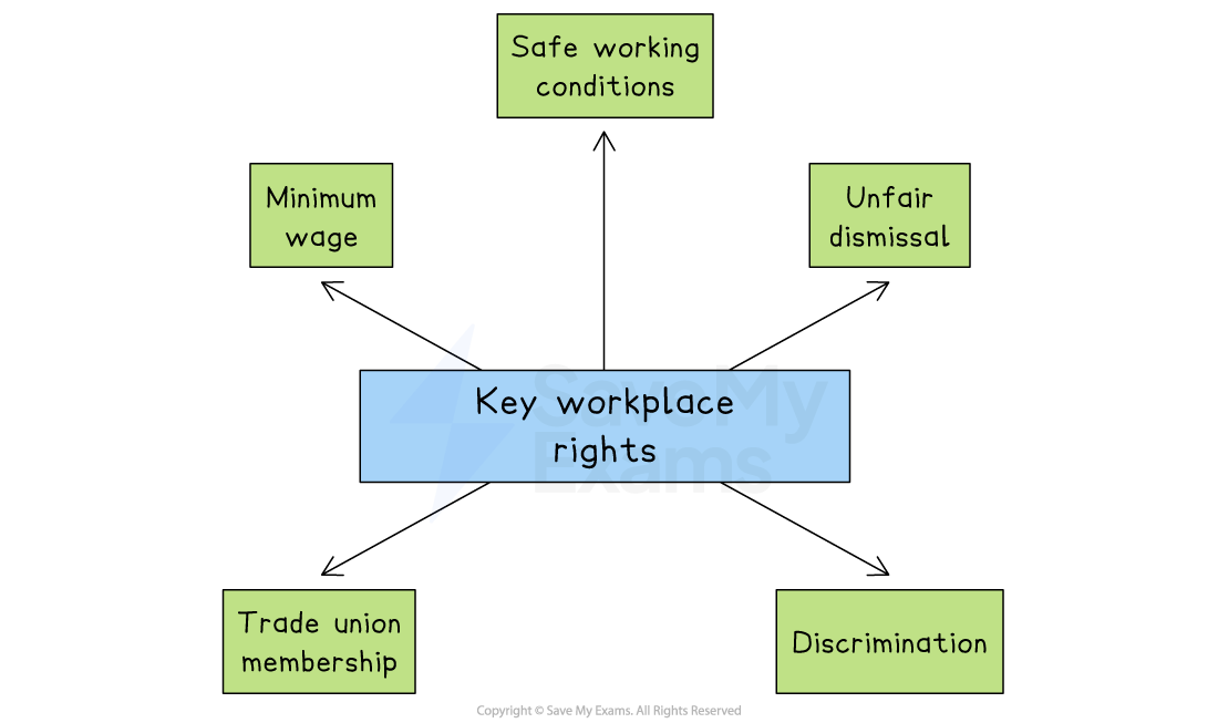 Flowchart showing key workplace rights: safe working conditions, unfair dismissal, discrimination, trade union membership, and minimum wage.