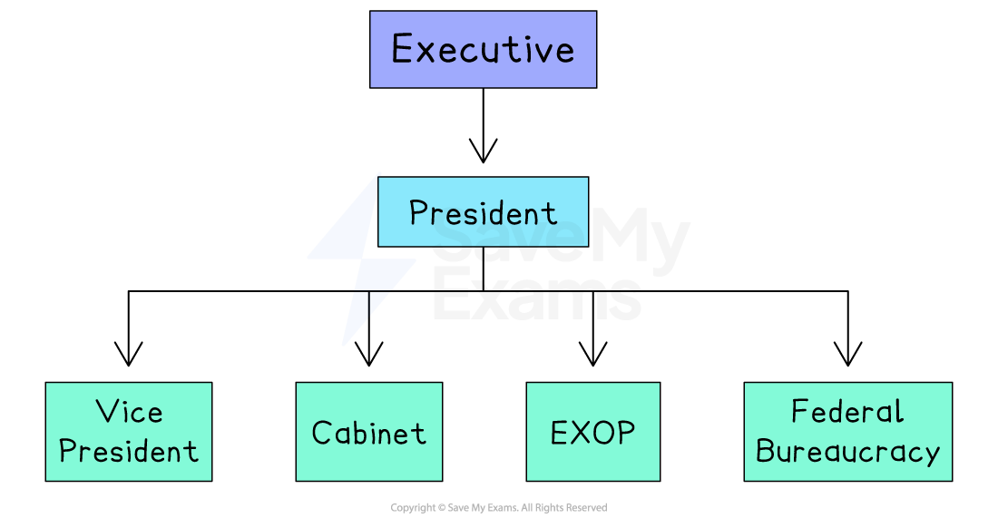 Flowchart of the Executive branch: President at top, leading to Vice President, Cabinet, EXOP, and Federal Bureaucracy entities below.