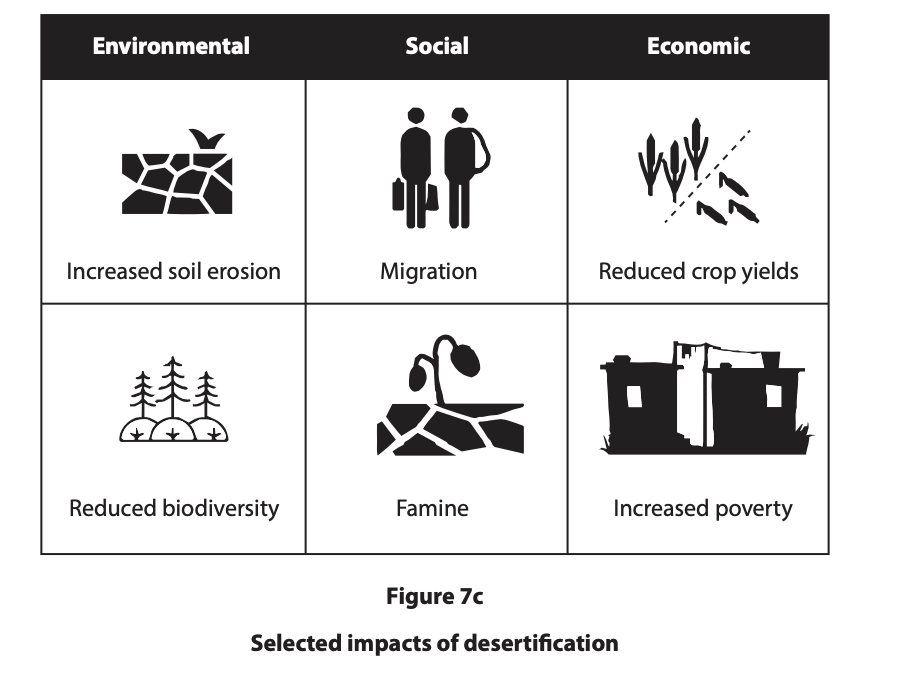Chart depicting impacts of desertification: environmental (soil erosion, biodiversity loss), social (migration, famine), economic (crop yield reduction, poverty).