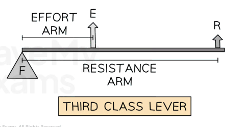 Diagram of a third class lever showing effort arm, resistance arm, fulcrum (F), effort (E), and resistance (R) with labels and arrows.
