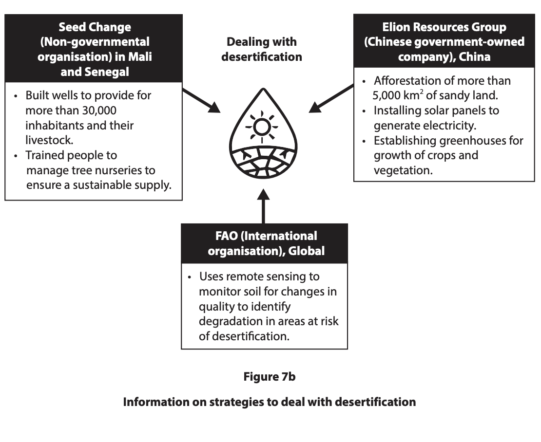 Flowchart on desertification strategies: Seed Change builds wells and trains in Mali/Senegal; FAO uses remote sensing; Elion afforests land in China.