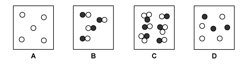 Boxes A–D. A: 5 separate white circles. B: white–black pairs. C: white–black pairs and groups of two white and one black. D: separate white and black circles.