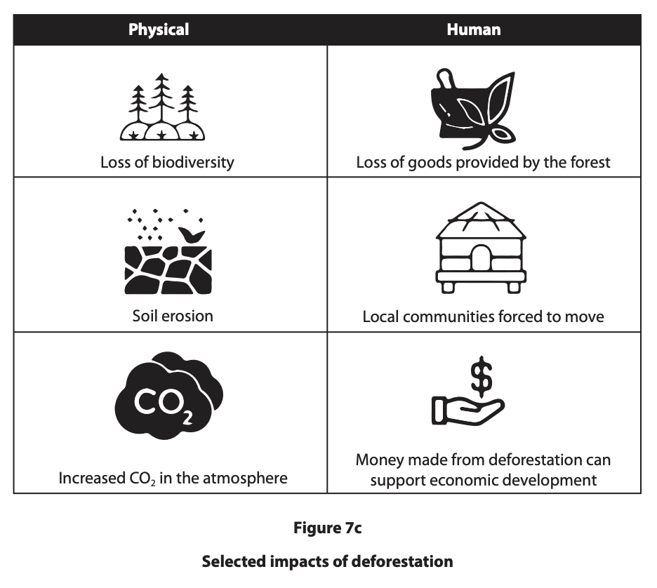 Table showing physical and human impacts of deforestation: biodiversity loss, soil erosion, increased CO2, forest goods loss, relocation, economic gains.