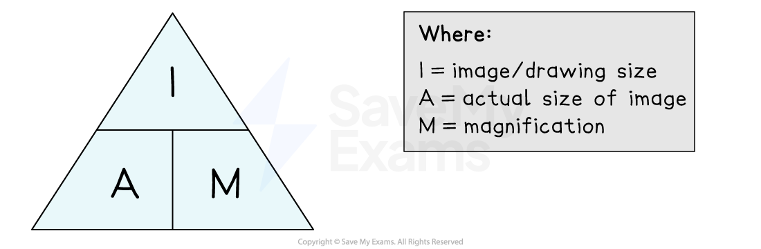 Triangle diagram with letters I, A, M; explaining image size, actual size, and magnification. Text box details: I = image/drawing size, A = actual size, M = magnification.