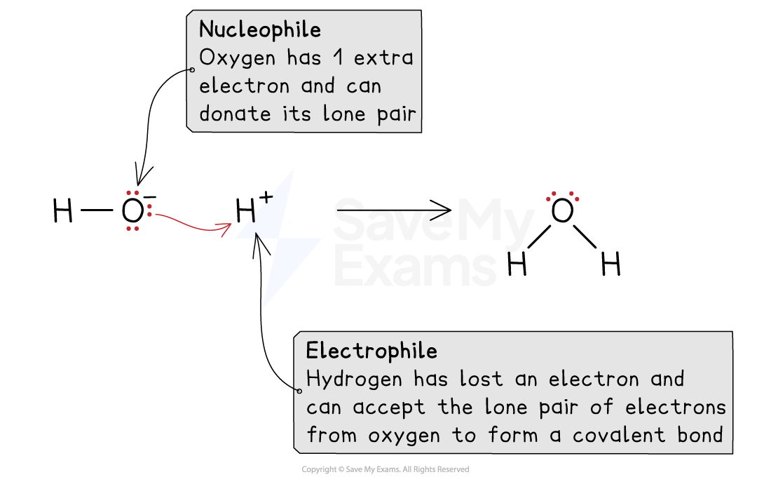 An Introduction to AS Level Organic Chemistry Nucleophile and Electrophile, downloadable AS & A Level Chemistry revision notes