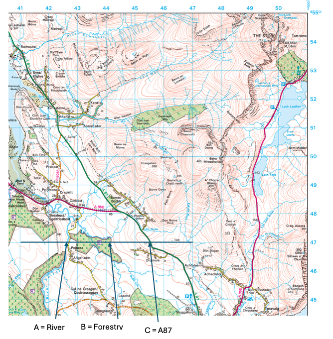 Topographic map of northern Skye, showing contours, roads, rivers, and forested areas. Notable details include A87 road, The Storr, and Loch Leathan.