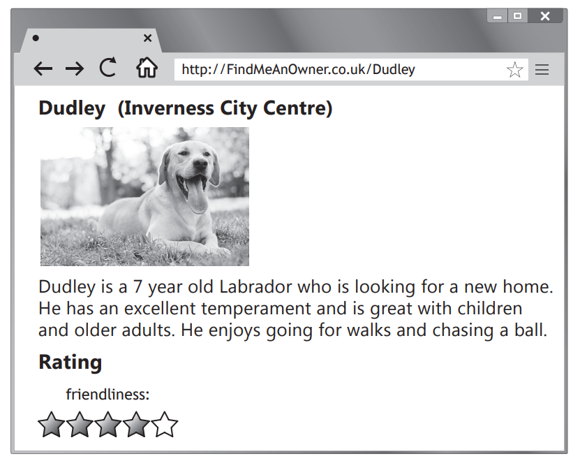 Labrador Dudley in grass. He's 7, needs a home, great with children and adults, enjoys walks and chasing a ball. Friendliness rated 4 out of 5 stars.