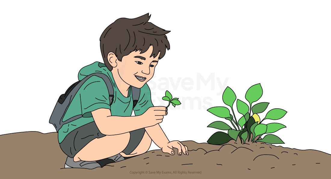 A boy in a green shirt and shorts kneels on the ground, smiling at a small plant. Butterflies flutter around in a bright, simple cartoon style.