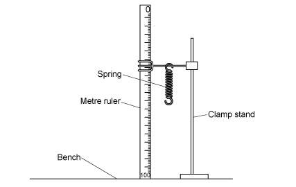 A spring hanging from a clamp stand next to a vertical metre ruler positioned on a bench.
