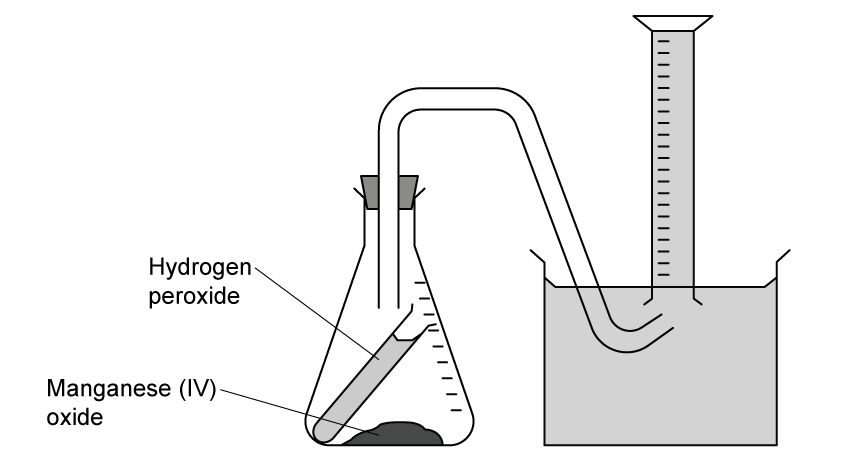 Diagram of a conical flask with hydrogen peroxide and manganese(IV) oxide, connected to a gas collection setup with a water trough and measuring cylinder.